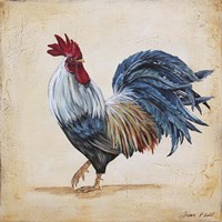 Rooster - B Fine Art Print