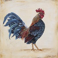 Rooster - C Framed Print