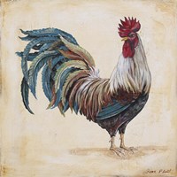 Rooster - F Fine Art Print