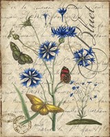 Botanical - Aster Bluet Damask Framed Print