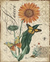 Botanical - Marigold Souci Damask Framed Print