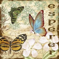 Inspirational Butterflies 1 Framed Print