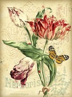 French Florals 2 Framed Print