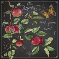 Apples Fine Art Print