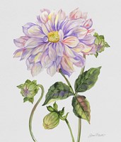 Botanicals 1 Fine Art Print