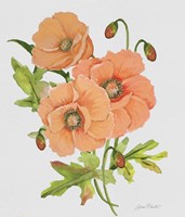 Botanicals 5 Fine Art Print