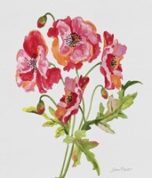 Botanicals 6 Fine Art Print