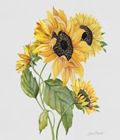 Botanicals 8 Fine Art Print