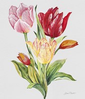 Botanicals 9 Fine Art Print