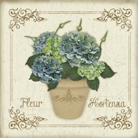 Fleur Hortensia 1 Fine Art Print
