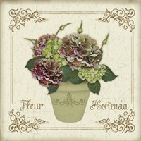Fleur Hortensia 2 Fine Art Print
