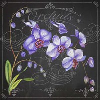 Orchids 1 Fine Art Print