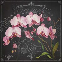 Orchids 2 Fine Art Print