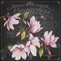 Magnolias 2 Fine Art Print