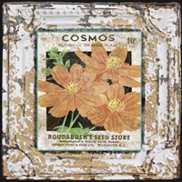 Tin Tile - Cosmos Framed Print