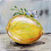 Abstract Kitchen Fruit 1 Framed Print