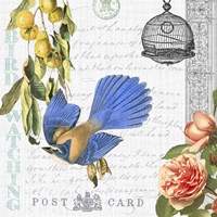 Birdwatchers Dream 1 Framed Print