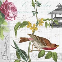 Birdwatchers Dream 2 Framed Print