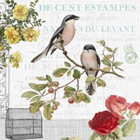 Birdwatchers Dream 4 Framed Print