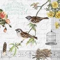 Birdwatchers Dream 5 Framed Print