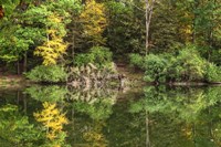 Autumn Forest Reflections Lake Side Fine Art Print