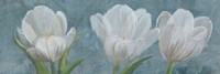 Tulip Triolet 2 Fine Art Print