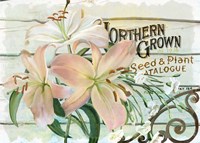 Farm Seed Lilies Fine Art Print