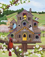 Bird Condo Fine Art Print
