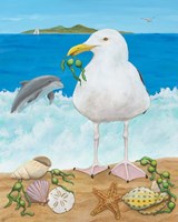 Gull Envy Fine Art Print