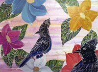 Stellarity Fine Art Print