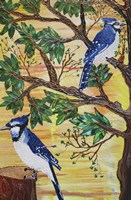 Monica's Jays Fine Art Print