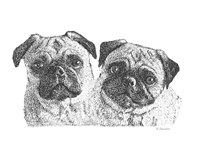 Pugs Fine Art Print
