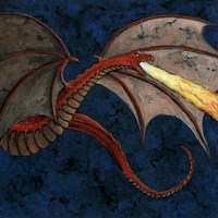 The Dragon Fine Art Print