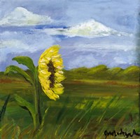 Plains Fine Art Print