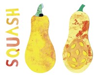 Squash Fine Art Print