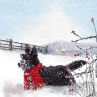 Black Scottie Dog Fine Art Print