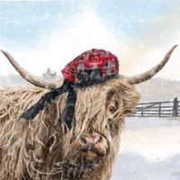 Highland Cow 2 Fine Art Print