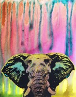 Elephant Fine Art Print