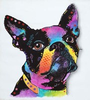 Serge Fine Art Print