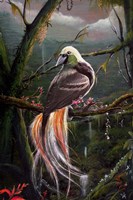 Bird of Paradise Fine Art Print