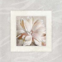 Pink Ivory Portrait 1 Fine Art Print