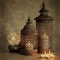 2 Lanterns with Flower Fine Art Print