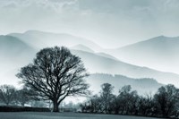 Blue Landscape with Tree Fine Art Print