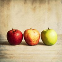 Row Of Antique Fruit Fine Art Print