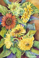 A Variety of Sunflowers Fine Art Print