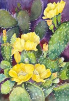 Cactus with Yellow Blooms Fine Art Print