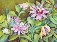 Passion Flower Fine Art Print