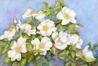 White Roses Fine Art Print