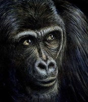 Behold Fine Art Print