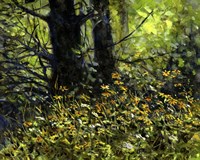 Summer Green Fine Art Print